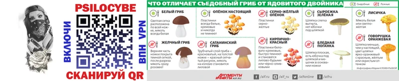 Галлюциногенные грибы GOLDEN TEACHER  мориарти какой сайт  Облучье 